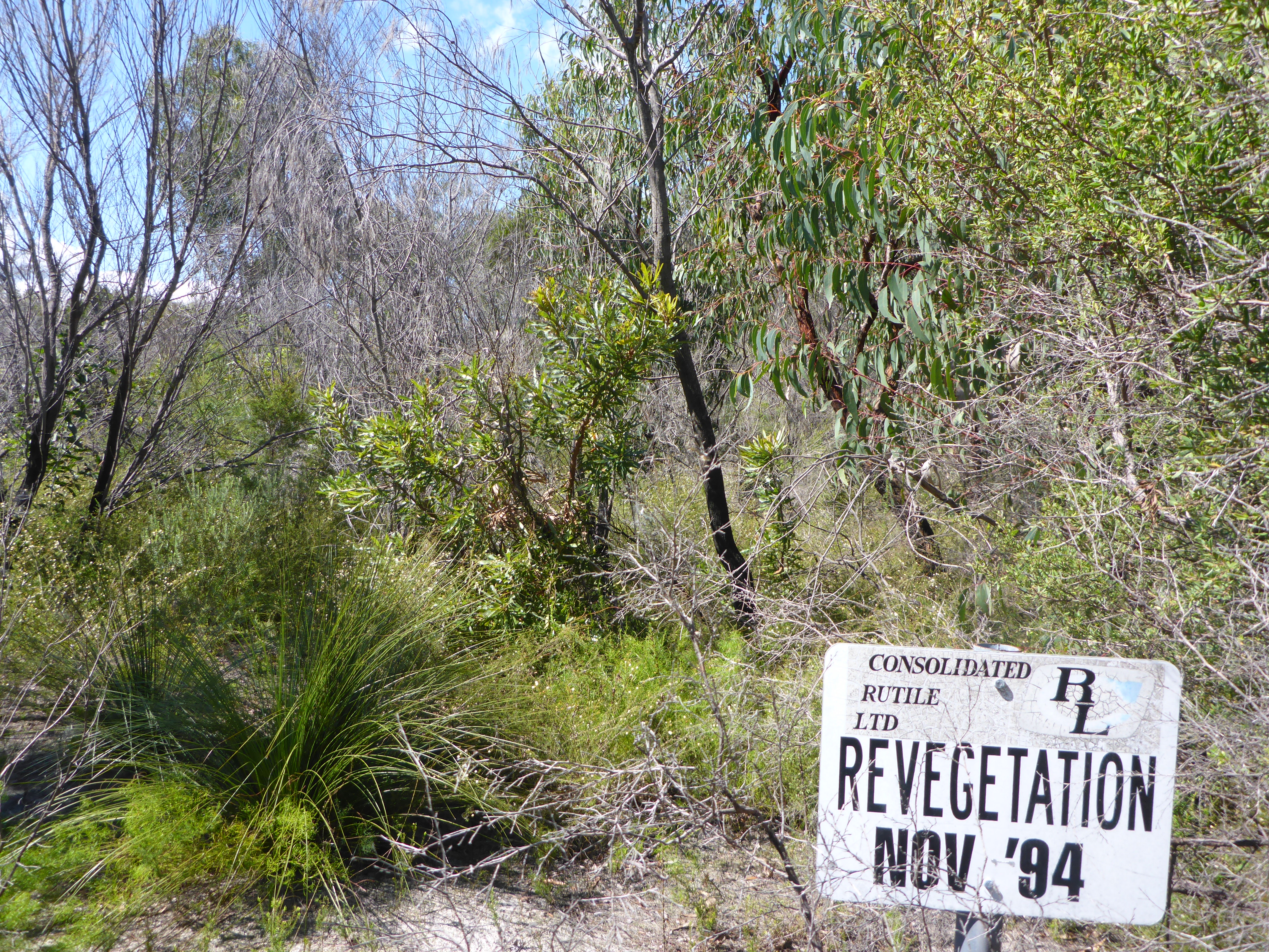 November 1994 revegetation sign with established vegetation
